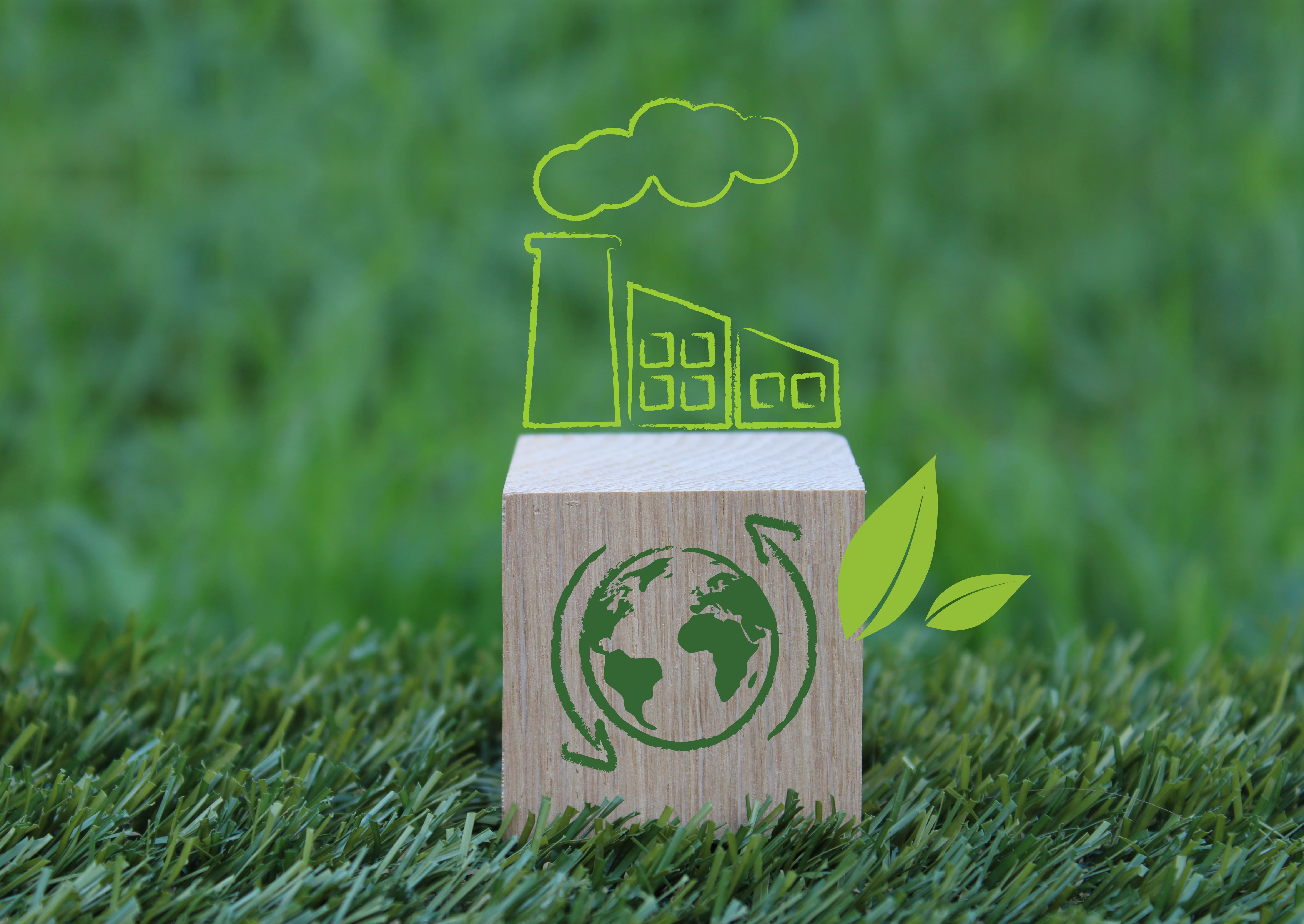 Comment rendre votre entreprise plus éco-responsable ?